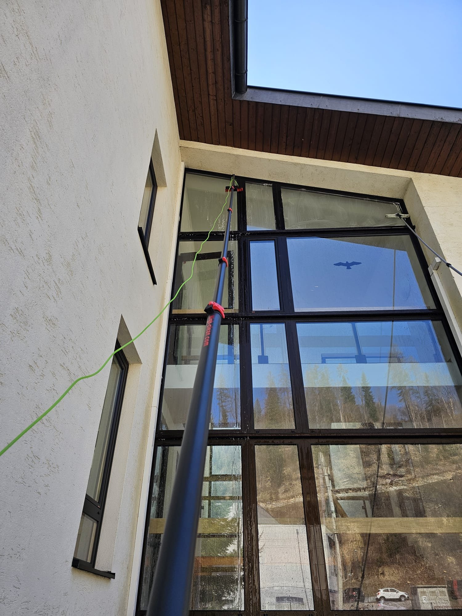 Professionelle Glasreinigung mit Teleskopstange